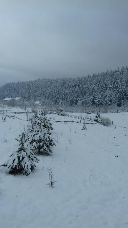 Котедж “Гуркало" Korchin Bagian luar foto